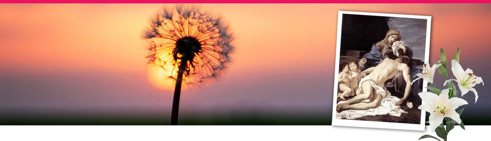 Annemiek Schrijver herfstbanner 1