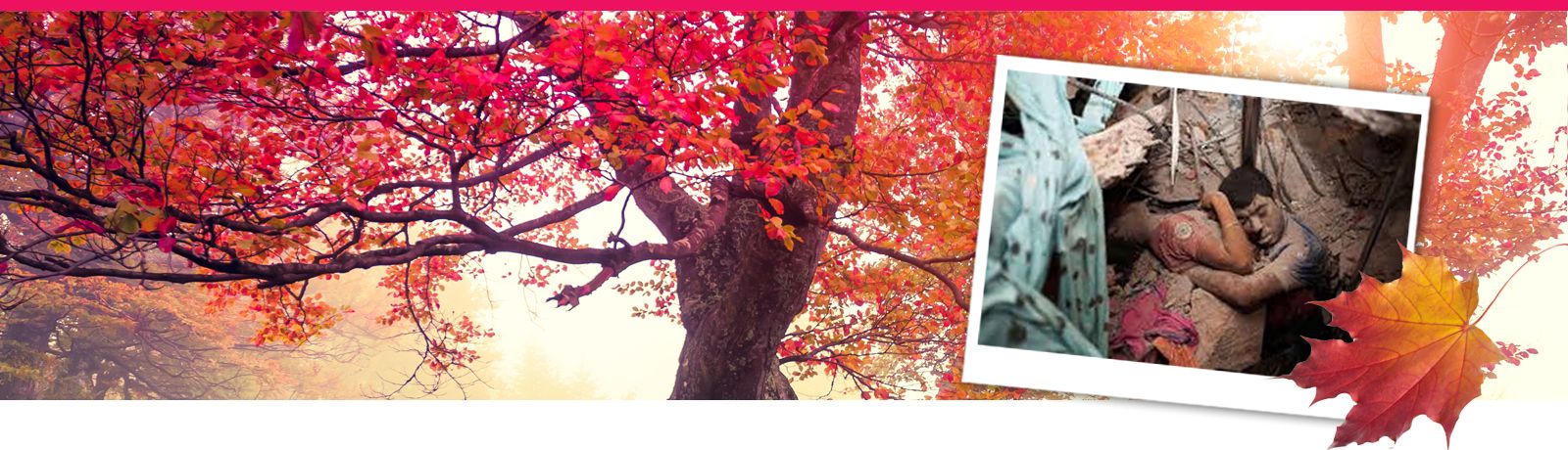 Annemiek Schrijver herfstbanner 3