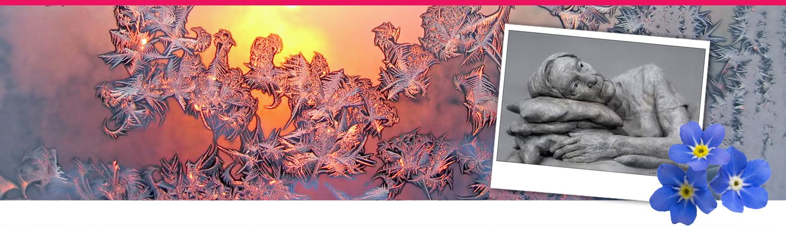 Annemiek Schrijver winterbanner 1