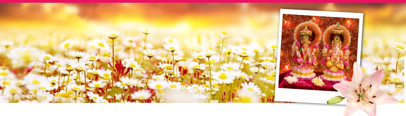 Annemiek Schrijver zomerbanner 1